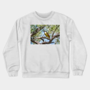 Great Kiskadee in Tree Filtered Light Crewneck Sweatshirt